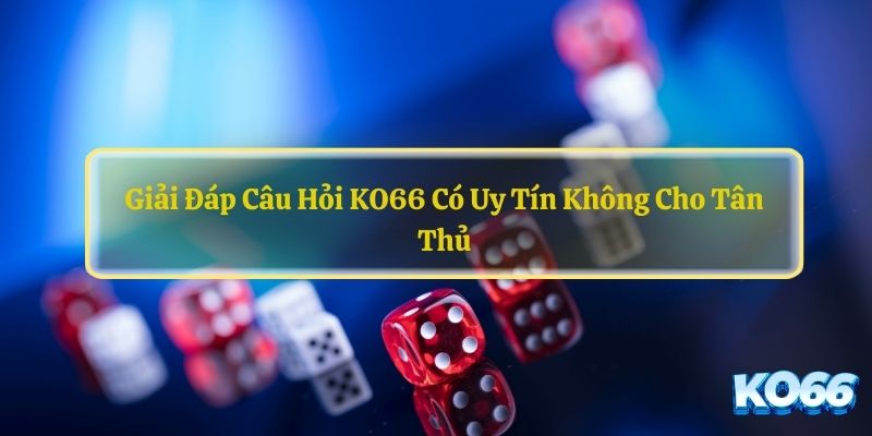 KO66 Có Uy Tín Không