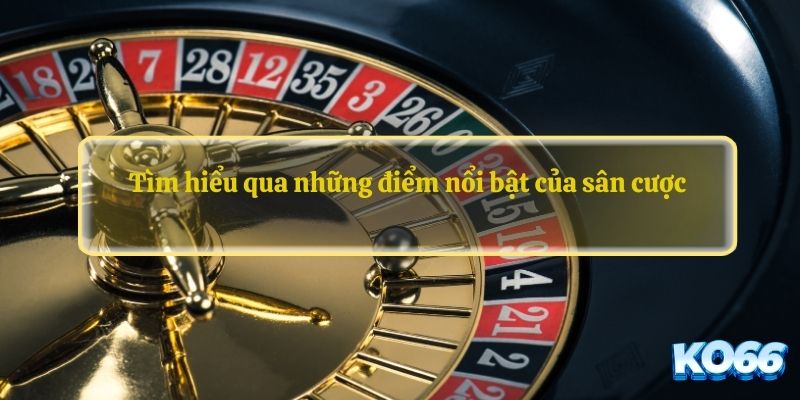 Tìm hiểu qua những điểm nổi bật của sân cược